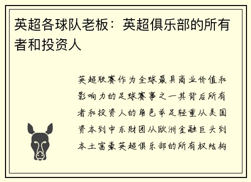 英超各球队老板：英超俱乐部的所有者和投资人